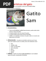 El Gato Doméstico - Removed