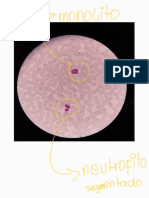 Biología-Semana 8 - 221205 - 152856