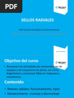 6 TEMA - Sellos Radiales