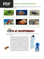 Animales Vertebrados e Invertebrados 5to A