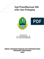 Teknologi Pemeliharaan Itik Petelur Dan Pedaging