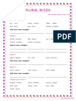 Plural Rules and Exercises