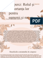 Proiect Bio Ciuperci: Rolul Și Importanța Lor Pentru Oamenii Și Natura