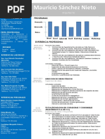 Curriculum Mauricio Sanchez Nieto 2