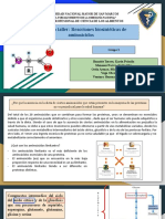 Bioquímica - S13