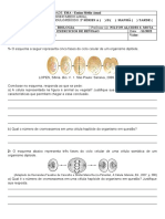 Exercicios de Revisao 2 Series Nucleo, Mitose e Meiose 22