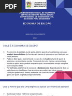 Economia de Escopo