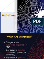 Types of Mutations