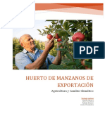 Huerto de Manzanos de Exportación