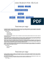 Organigrama Trabajo Por Células