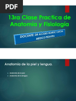 13.-Anatomía de La Piel y Lengua.