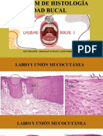 Álbum de Histologia Cavidad Bucal