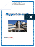 Rapport de Sortie