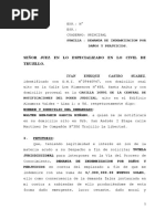 Demanda de Indemnizacion Por Daños y Perjuicios Hermano Segundo