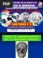 Facultad de Odontologia: Clase Teorica #10