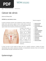 Cáncer de Cervix