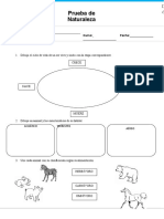 GP2Evaluacion - Diagnostica C.N 1°