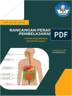 Fitriani Bio RPP Aksi 1