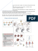 Scienze Corpo Umano