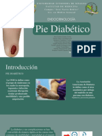 Pie Diabético - 2