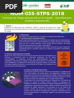 Nom 035 STPS 2018 - V2