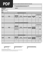 SSIIRR - Directiva - Apéndice 1 - Plan de Acción