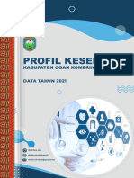 Profil Keseehatan Kab OKU TH 2022