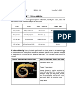 LABORATORY EXERCISE Annelida Merged