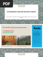 Class 9 Social Project Evergreen and Deciduous Forest