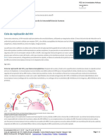 Ciclo de Replicación Del VIH