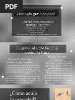 Zoologia Gravitacional