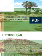 Projeto Corrego Carrapato