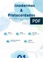 Equinodermos & Protocordados