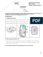 Examen BC Session Normale Janvier 2019