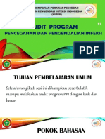 Audit PPI