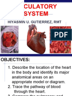 Circulatory System