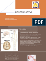 Crisis Convulsivas Clasificación