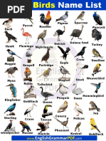 A To Z Birds Names List in English With Pictures PDF