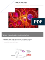 Terapia Celular - CÉLULAS MADRE