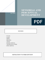 NMD-6 Sensorial and Perceptual Development