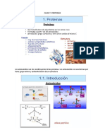 Resumen Proteinas y Aminoacidos