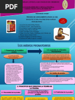 Proceso de Conocimiento