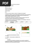 Secuencia PDL 2°