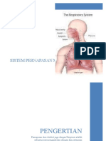 Sistem Pernapasan Manusia