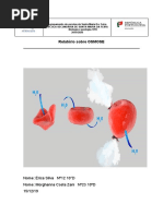 Relatorio Sobre Osmose
