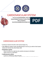 Cardiovascular System