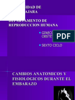 Cambios Anatomicos y Fisiologicos Durante El Embarazo