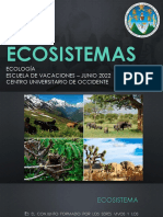 Eco Sistem As