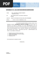 Informe #011