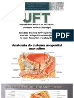 Semiologia Genitourinário